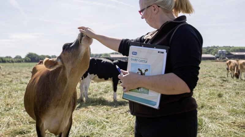 M&amp;S has become the first major retailer to source all of its fresh milk from RSPCA Assured dairy farms 