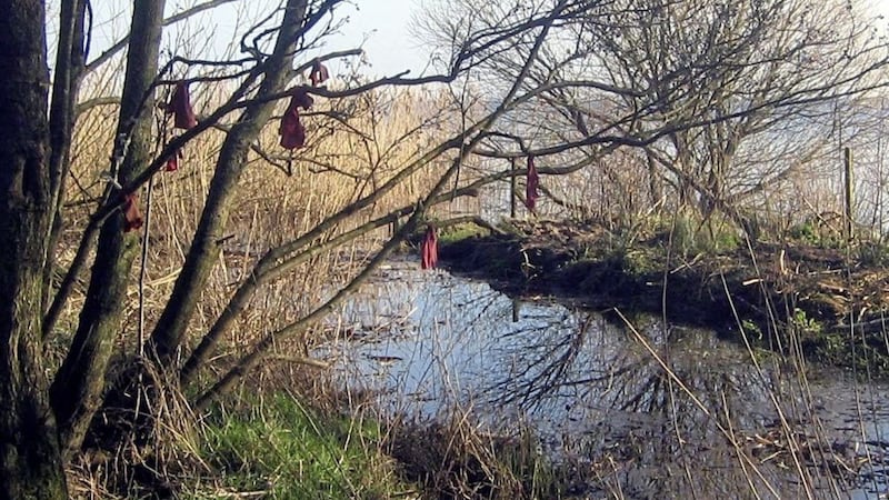 The &#39;Holy River&#39; at Washingbay, outside Coalisland in Co Tyrone 