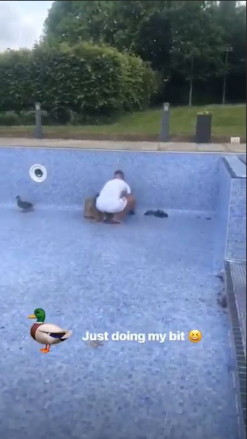 Aaron Ramsey saving ducklings in a swimming pool