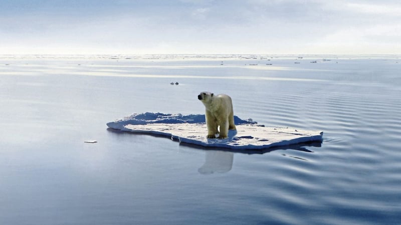 Due to global warming the natural environment of the polar bear in the Arctic has greatly changed 