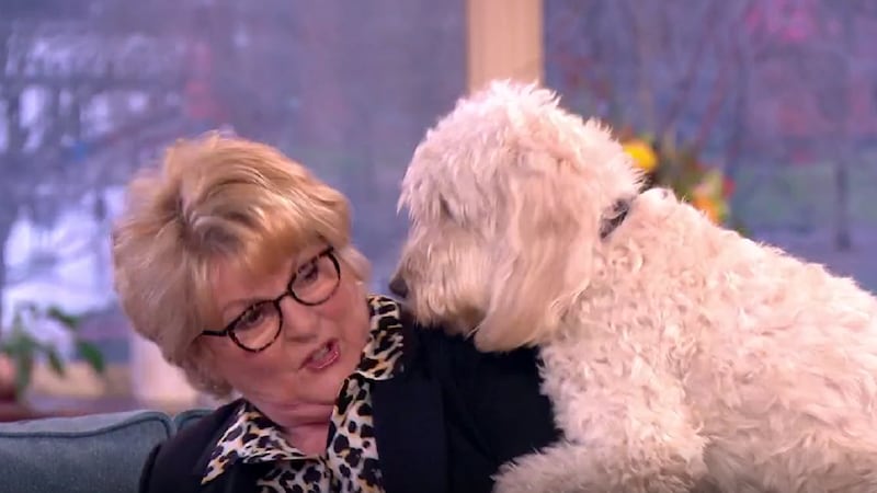 The actress could not quite believe it when her pet pooch took a liking to her.