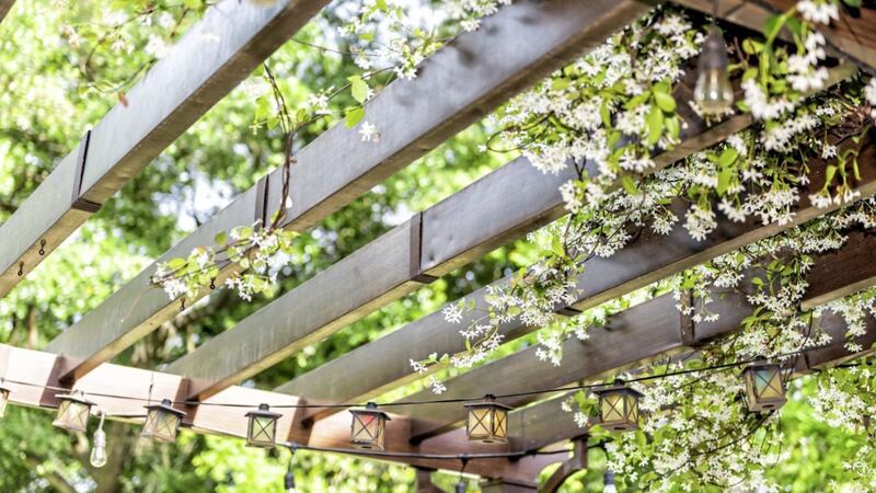 Consider putting up a pergola which can be covered in climbing plants 