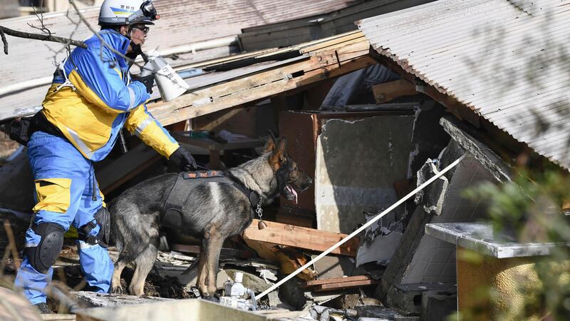 A police officer with a police dog conducts a search operation (Kyodo News via AP)