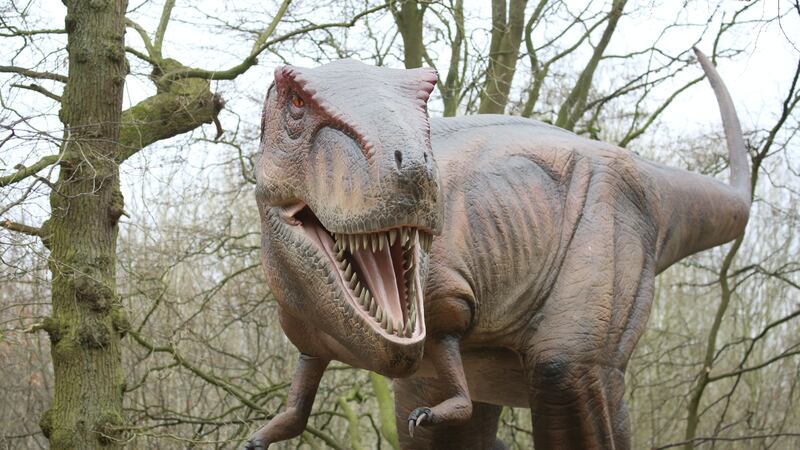 The researchers of the latest study say it is difficult to assess the diversity of dinosaurs due to gaps in the fossil record.