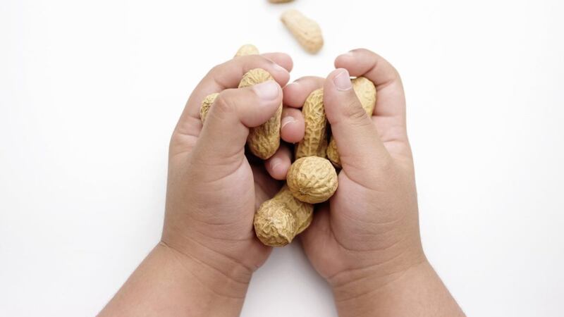 One peanut allergy study found that early peanut consumption greatly reduced the prevalence of peanut allergy 