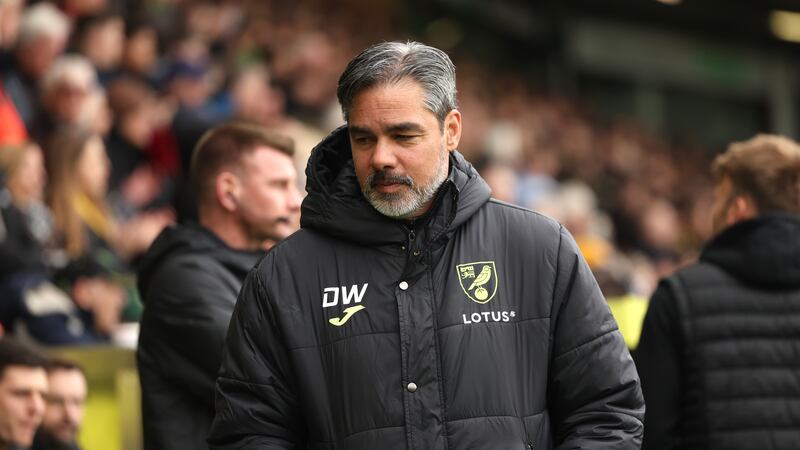 Norwich manager David Wagner