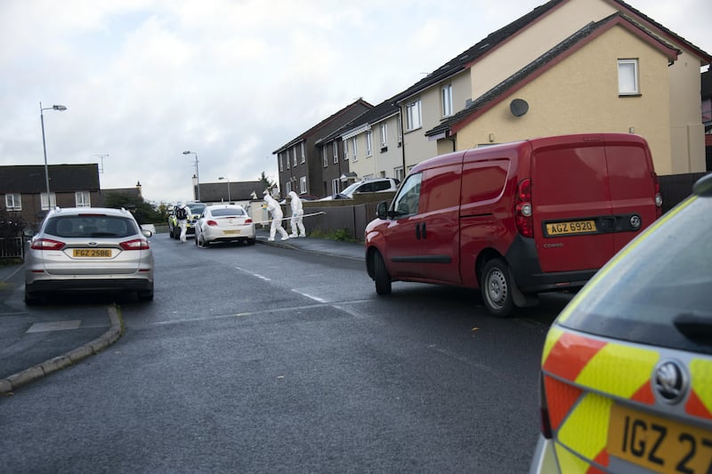 Police said the assault happened in Slievecoole Park in Omagh