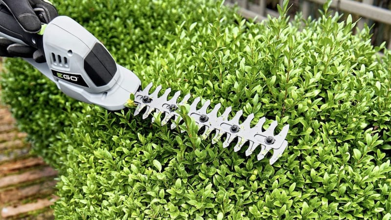EGO shrub trimmer is an ideal gift for Father&#39;s Day 