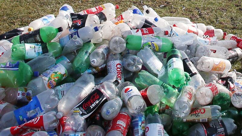 Learn how a plastic bottle goes from the recycling bin back to a supermarket shelf.