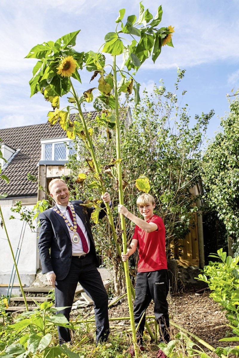 The mayor of Ards and North Down Trevor Cummings with 13-year-old Jacob Thompson, winner of the Tallest Sunflower competition. Picture by Ian Pedlow 