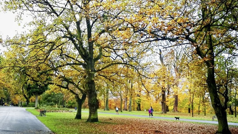 Ormeau Park is one of three parks that could be open for 24 hours over the summer 