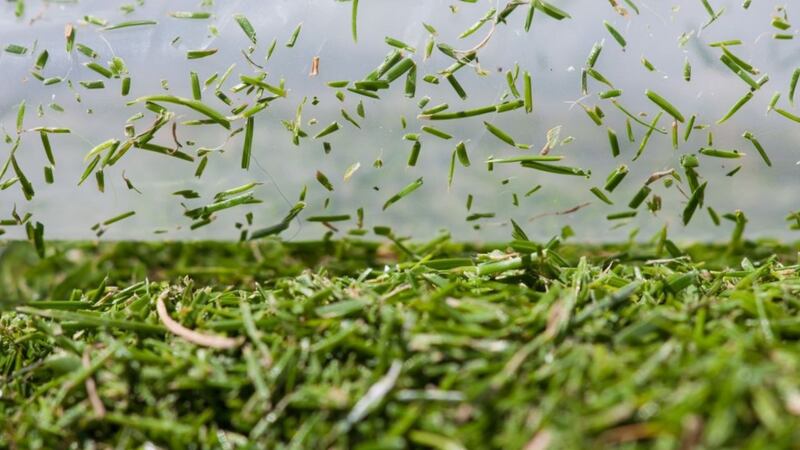 Could ‘grassoline’ power planes in the future?