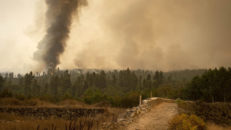 Fire advances through the forest in La Orotava in Tenerife (Arturo Rodriguez/AP)