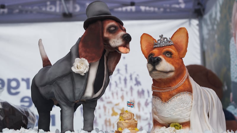 The corgis were presented to a teenager who will attend the wedding of Prince Harry and Meghan Markle.