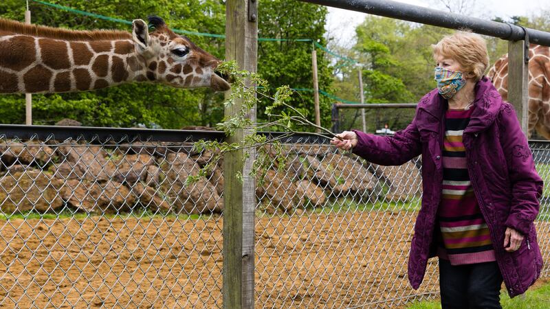 Margaret Keenan, the first recipient of the Pfizer vaccine, has met a giraffe named after her at ZSL Whipsnade Zoo.