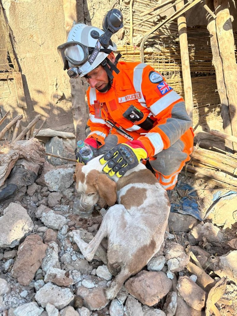 Firefighter Jamie Muddle pouring water for a dog they retrieved from a pile of rubble 