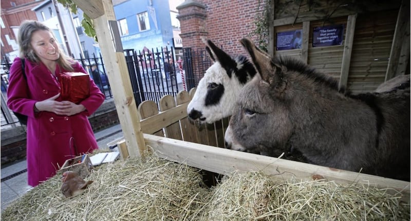 Donkeys at the live crib at St Mary&#39;s Church on Chapel Lane in Belfast. Picture by Hugh Russell 