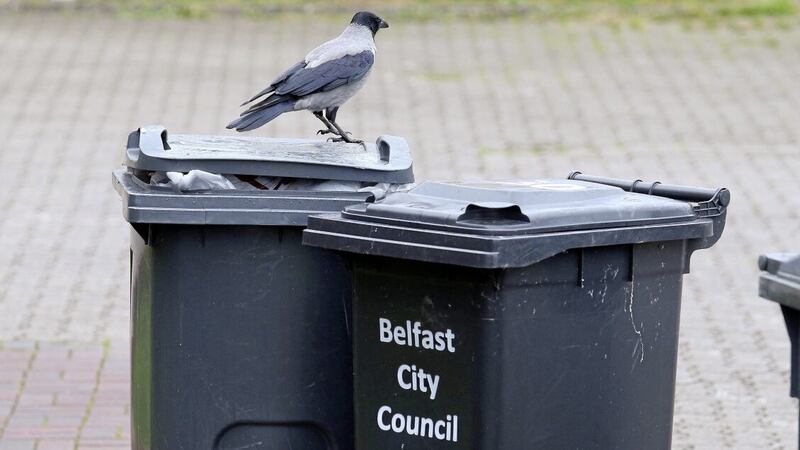 Belfast councillors have said ratepayers are increasingly frustrated over the city&#39;s bin collection service. Picture by Mal McCann. 