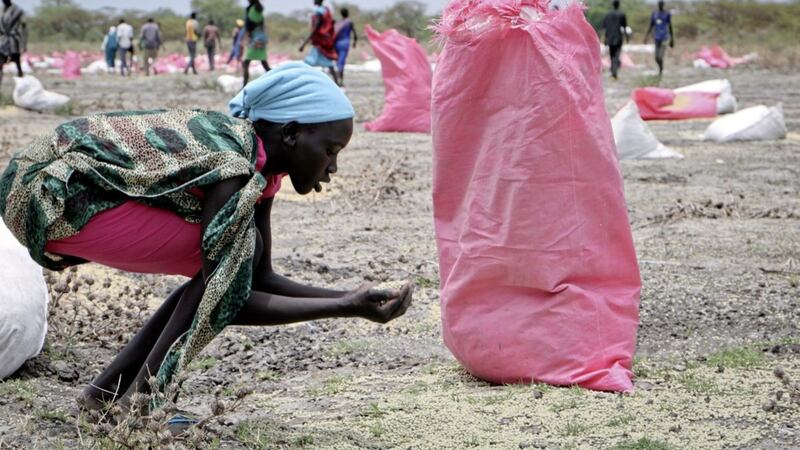 A woman scoops fallen sorghum grain off the ground after an aerial food drop by the World Food Programme in the town of Kandak, South Sudan. Picture by Sam Mednick, File, AP 