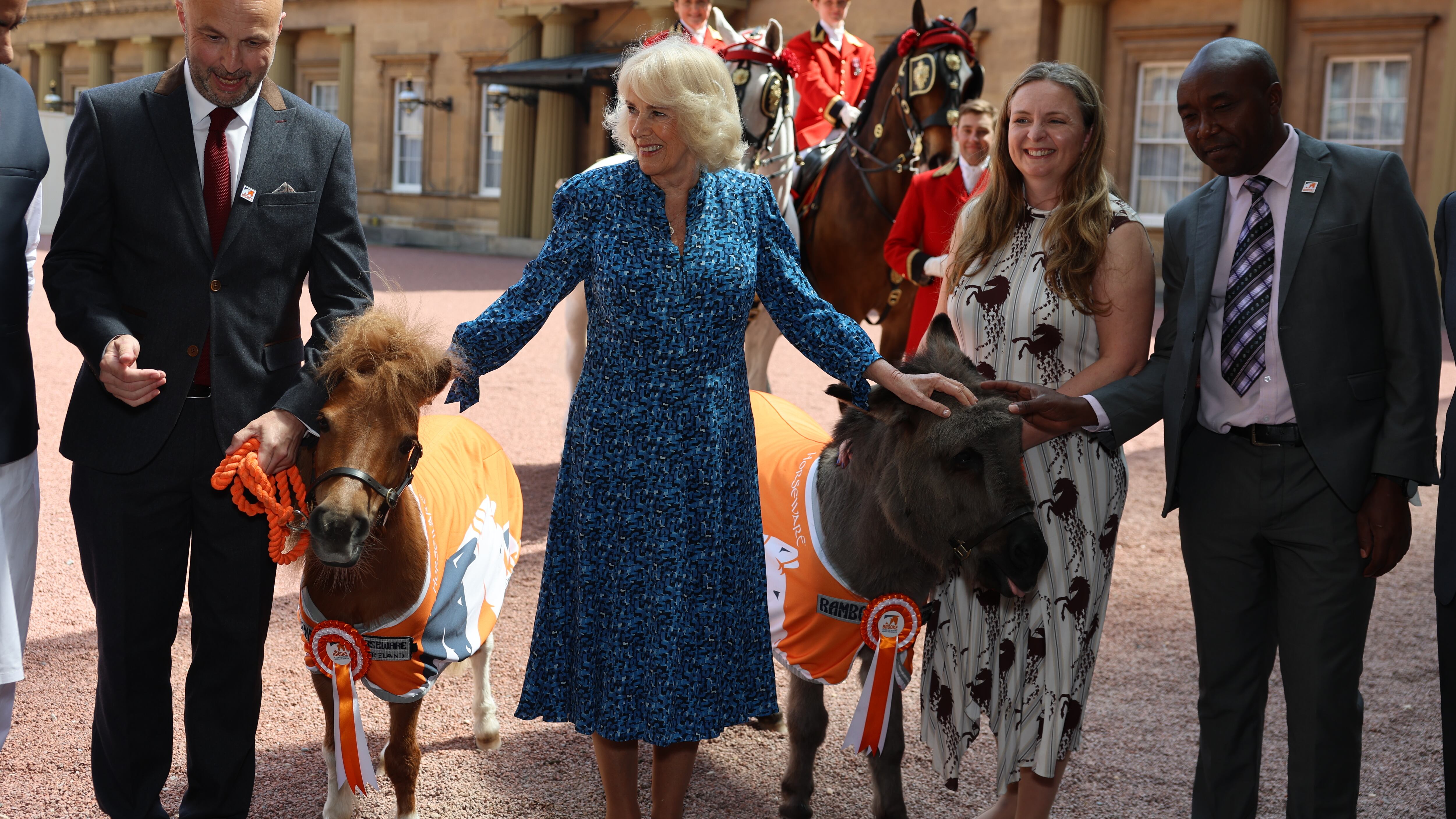 Camilla spent time with the animals in the Buckingham Palace quadrangle