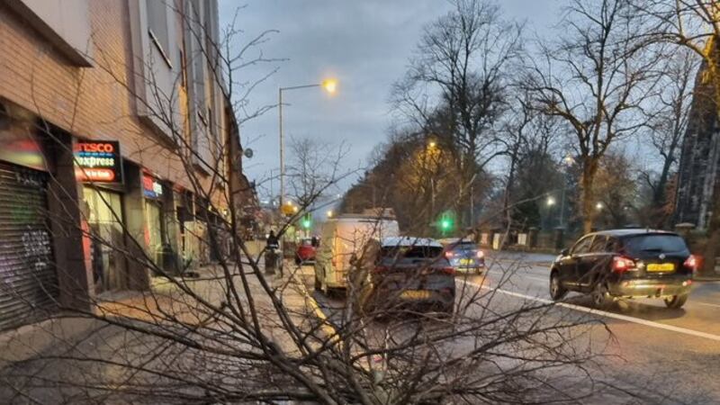 MLA Paula Bradshaw described the chopping down of the tree on Ormeau Road as bizarre 