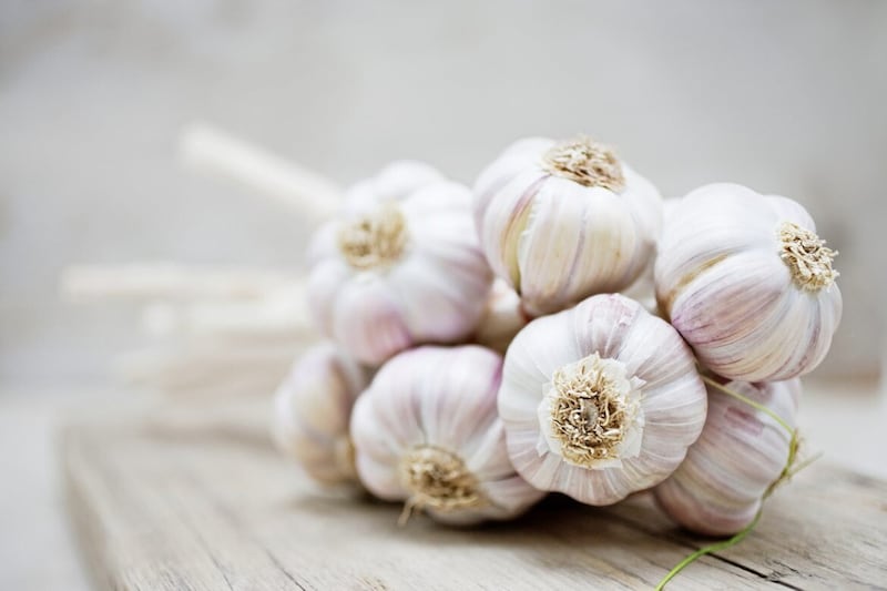 Garlic has anti-viral properties 