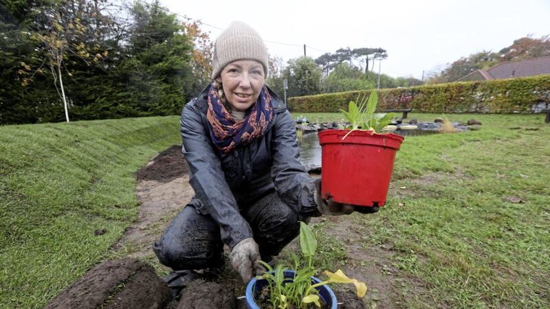 Horticure lecturer Claire Dunwoody at Serc&#39;s new Wellbeing Garden in Holywood. Picture by Hugh Russell 