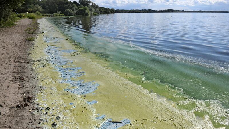 Toxic blue/green algae and green algae sludge on the Antrim shoreline of Lough Neagh. Picture by Alan Lewis/PhotopressBelfast