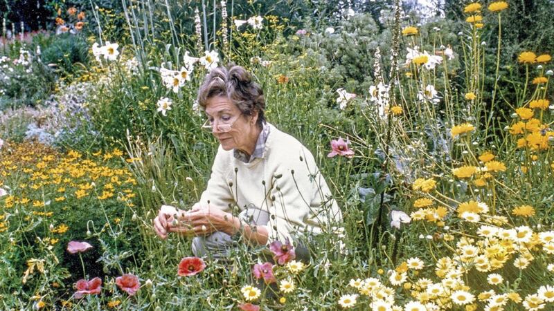 Beth Chatto in her garden in the late 1980s 