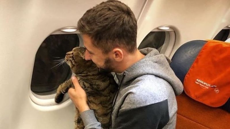 Mikhail Galin used a decoy pet to fool Aeroflot staff but he was caught out after his story went viral.