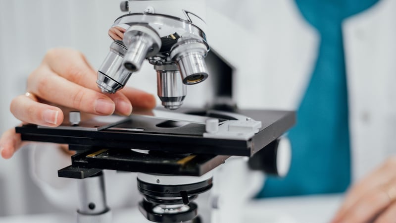 UK to set up AI ‘biosecurity lab’ to detect risks of future pandemics