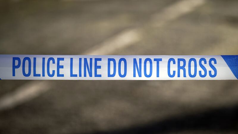 A woman and two dogs she was walking were killed in a crash in Chigwell, Essex