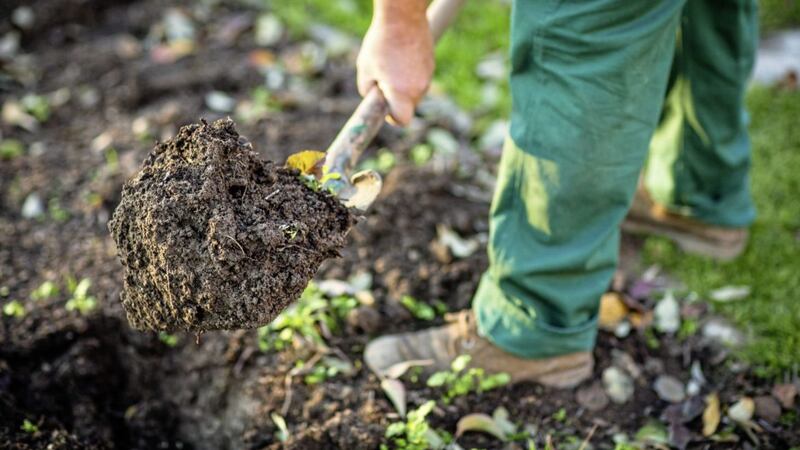 Digging your soil will break it up and aerate it. Picture by Thinkstock/PA 