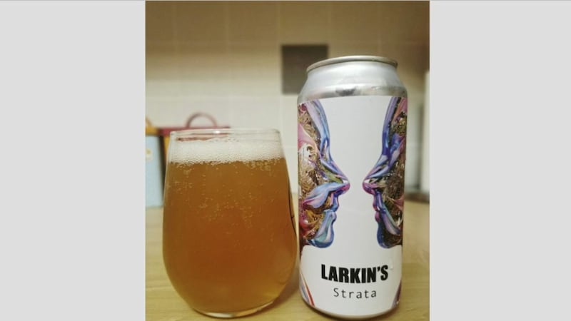 Strata, a gulpable beer from Larkin&#39;s Brewing Company in Co Wicklow 