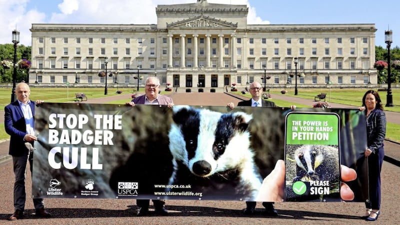 John Blair, Alliance assembly member and Chair of the All Party Group on Animal Welfare, Ken Brundle, Ulster Wildlife Chairman, Peter Clarke, Northern Ireland Badger Group Representative, and Colleen Tinnelly, USPCA Development Manager, pictured at the launch of a joint petition which opposes DAERA&rsquo;s recently proposed badger cull as part of its bovine TB eradication strategy 