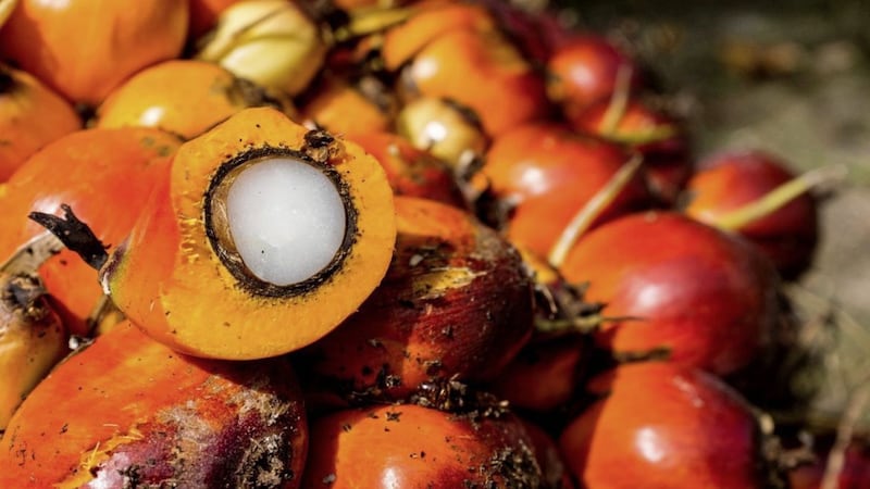 Retailer Iceland is to remove palm oil from its own-brand food by the end of 2018 as part of efforts to stem deforestation 