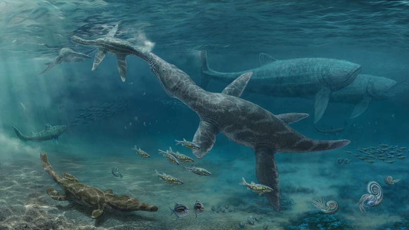 The research reveals how the structure of food chains beneath the sea has remained largely unchanged since the Jurassic era.