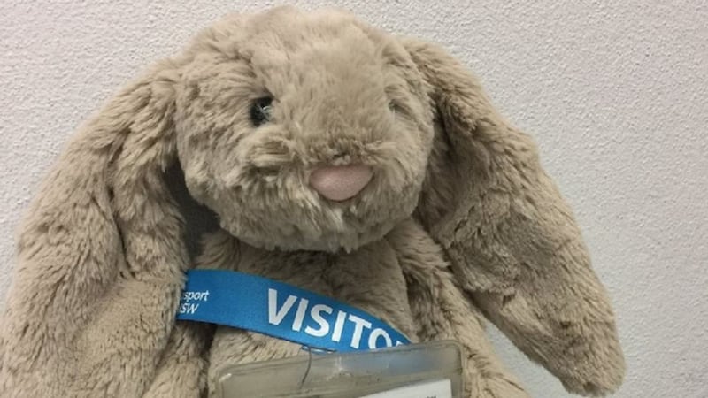 The mission to find #sadbunny’s owner was far from easy, though…