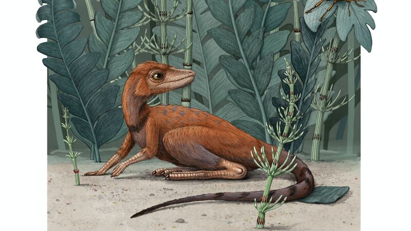 The miniature reptile known as the ‘tiny bug slayer’ is thought to have lived around 237 million years ago.