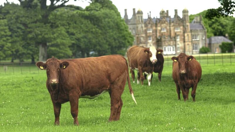Glenarm Castle farm manager Bryan Wilson has been declared &lsquo;Beef Innovator of the Year&rsquo; at the British Farming Awards in Birmingham 
