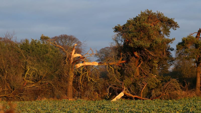 Around 30 tornadoes occur in the UK each year, researchers say.