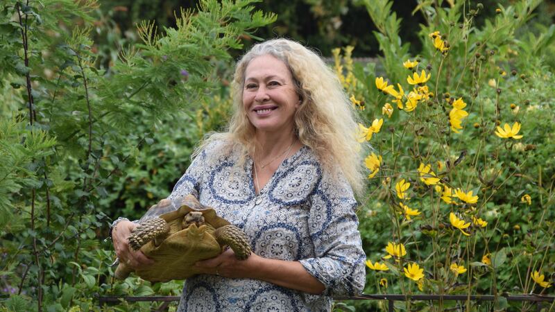 Sybil the tortoise was missing for over a year before being returned to owner Catherine Painter.