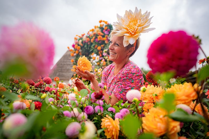 There are more than 5,000 dahlias on display (Ben Birchall/PA)
