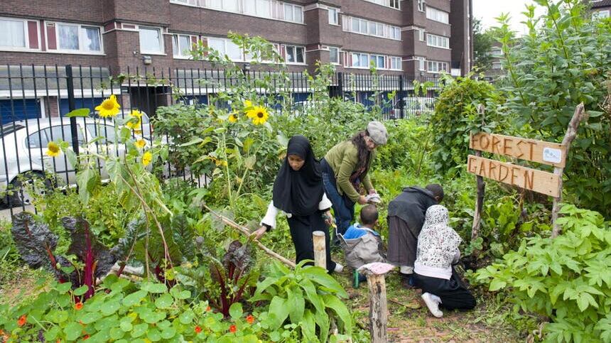 Volunteers in the Evelyn community gardens in Deptford, London (Paul Harris/2020VISION/PA)
