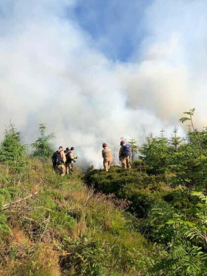 Gorse fire in Glenariff Co. Antrim (Photo from Northern Ireland Fire and Rescue Service)