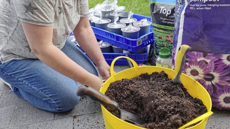 Funeral arranger Liz Doherty potting sunflowers for school pupils to take care of 