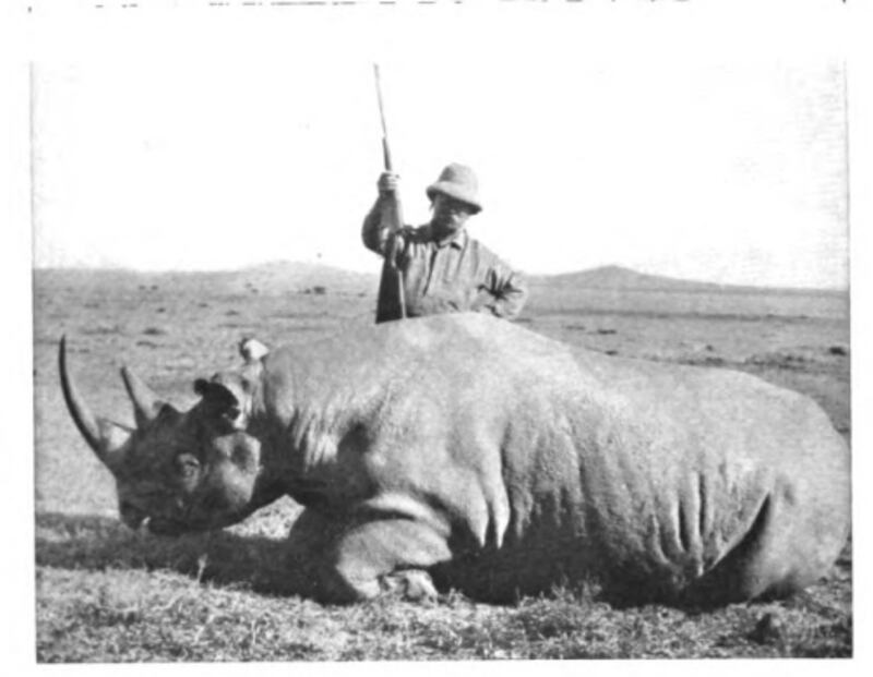 former US President Theodore Roosevelt standing over a black rhino he had just killed, taken in 1911