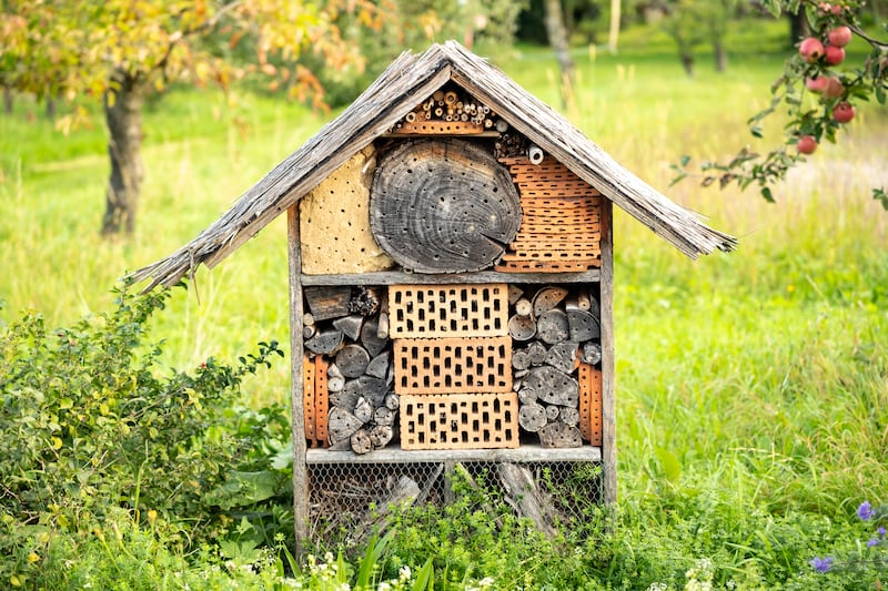 Casual Gardener: Take the first step to a sustainable garden with a bug hotel
