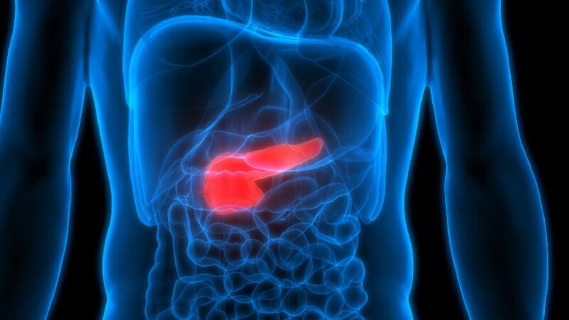 A new audit has shone a light on the rising number of pancreatic cases diagnosed in Northern Ireland.