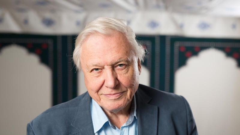 The veteran naturalist says the issue of plastic pollution is prominent in Blue Planet II, which will be aired in the autumn.